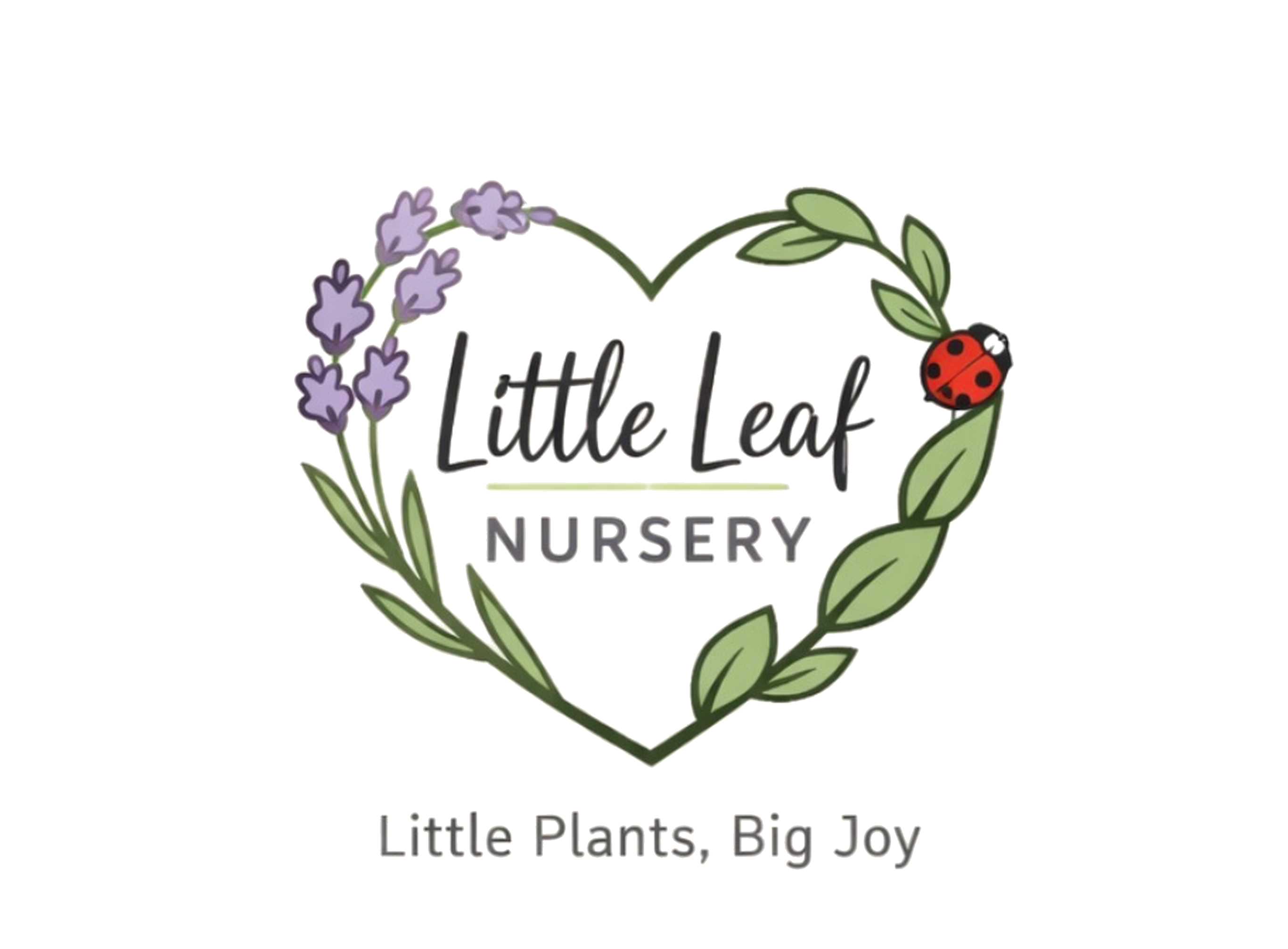 Little Leaf Nursery logo